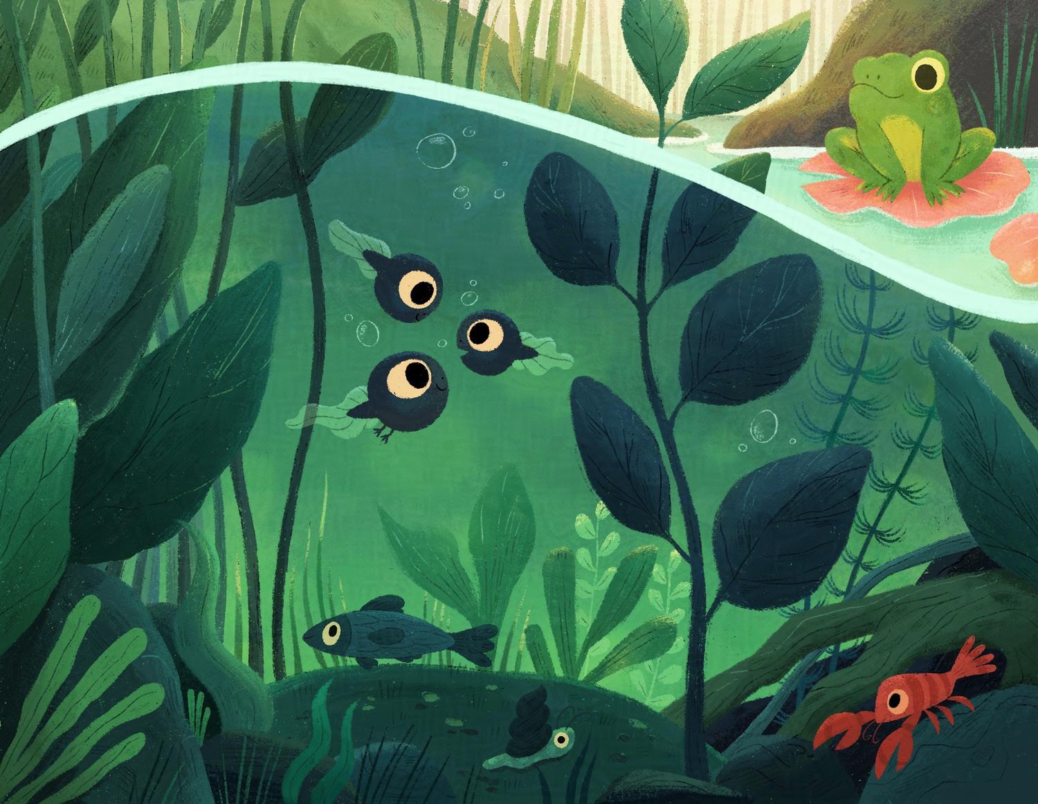 DEFAULTlakelife2618edf0-f907-4aa2-9d04-e293de58cfe5